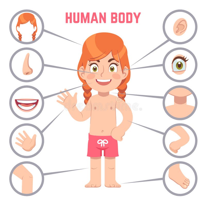 Cartoon Body Parts Cartoon Human Body Clipart / How to create this is a