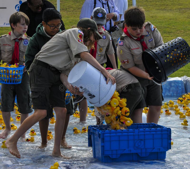 Girl and Boy Scouts return Rubber Duckies to Crates at the finish of a race stock photography Girl and Boy Scouts return Rubber Duckies to Crates at the finish of a race stock photography