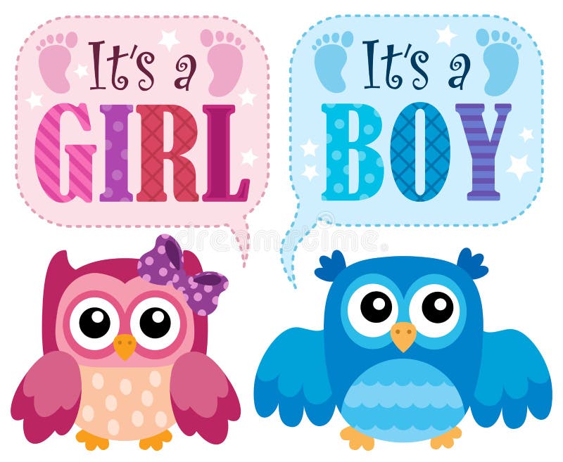 Is it a Girl or Boy Theme 2 Stock Vector Illustration of bird, owlet