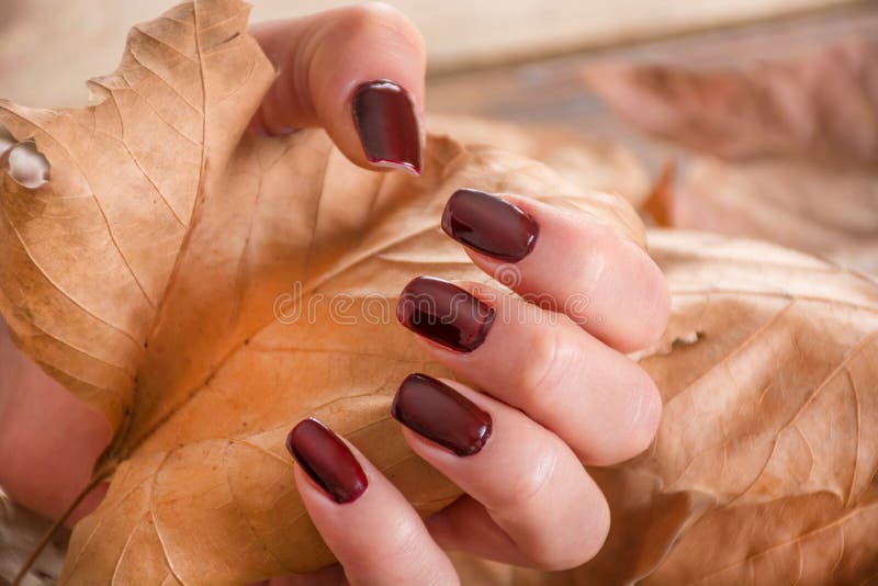 Autumn Elegance: A Delicate Grasp