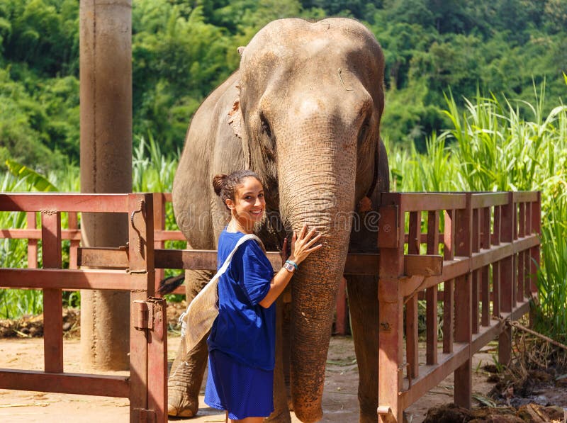 Girl caresss an elephant at sanctuary in Chiang Mai Thailand