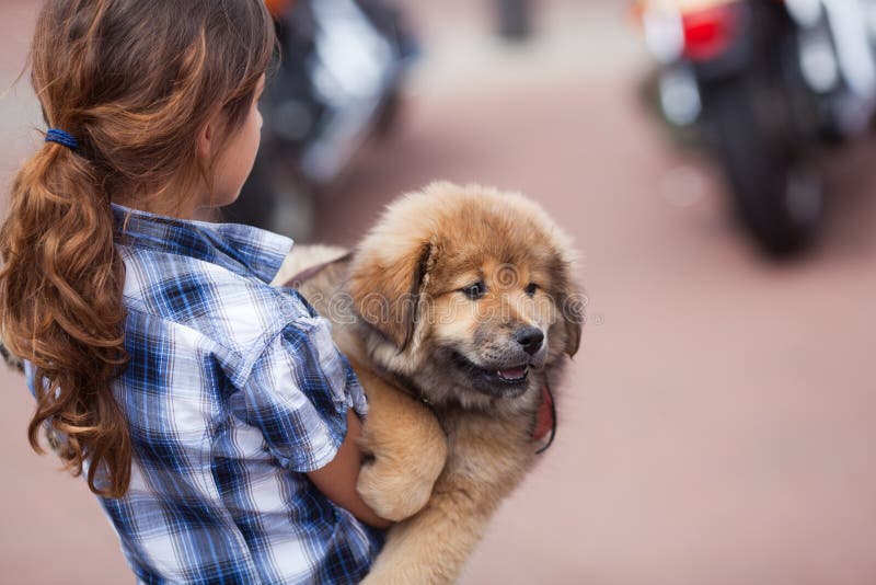 Girl carries her puppy in the city