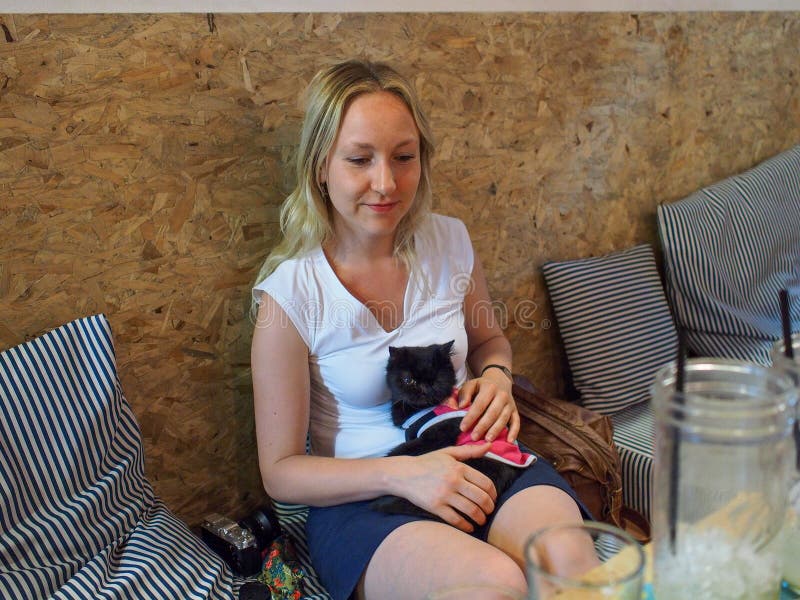 Girl in cat cafe stock photo. Image of sitting, persian 97044592