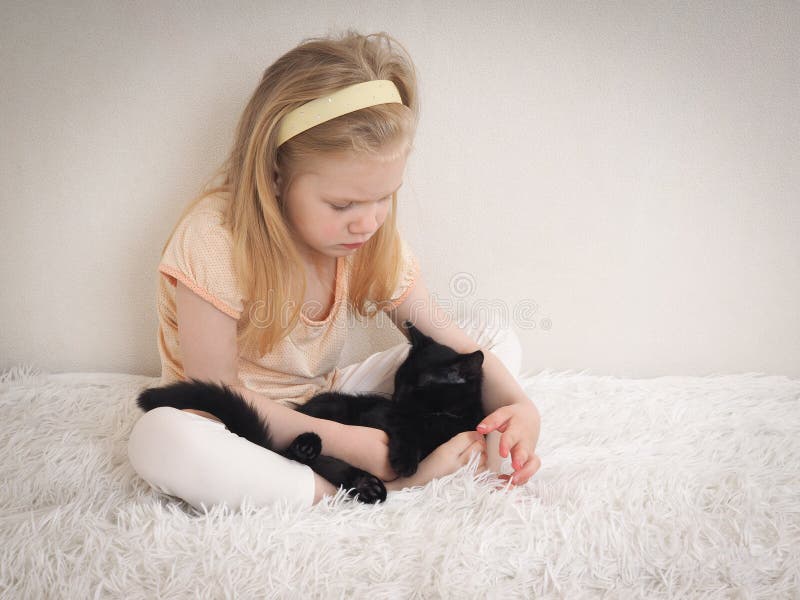 1,464 Cat Sit Bed Stock Photos Free & RoyaltyFree Stock Photos from