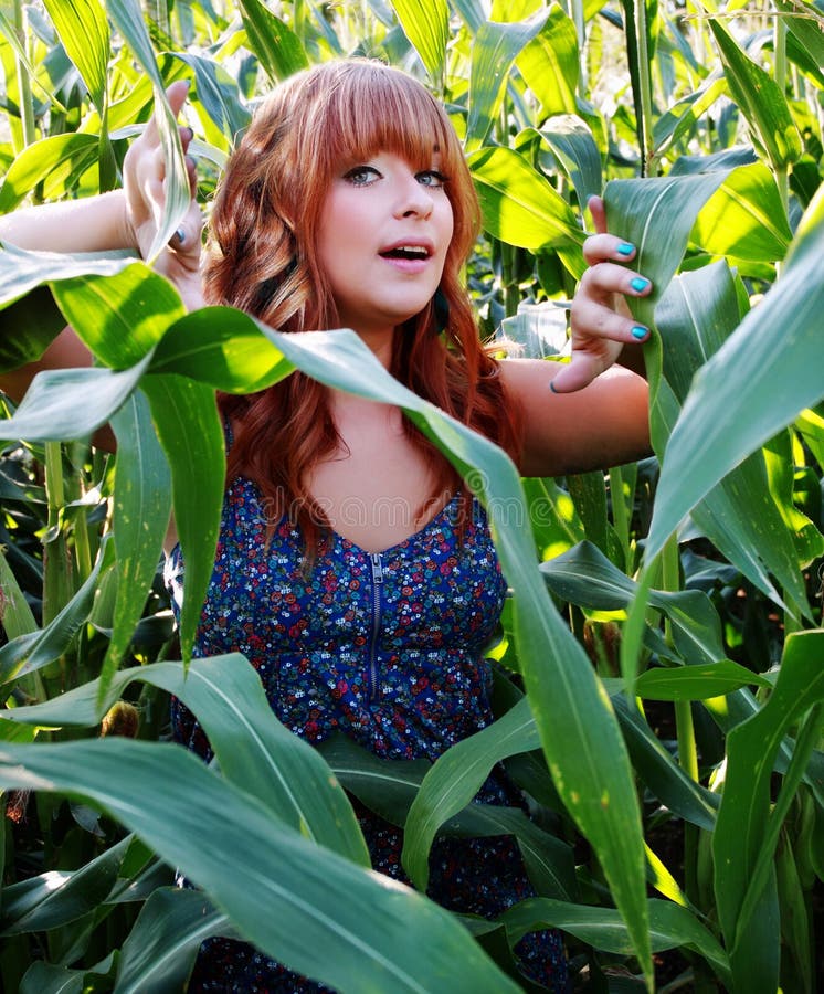 Girl in corn field stock photo. Image of hair, beautiful 15887056