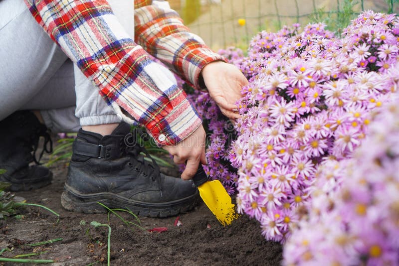 Little boy with big shovel stock photo. Image of nature - 14278622