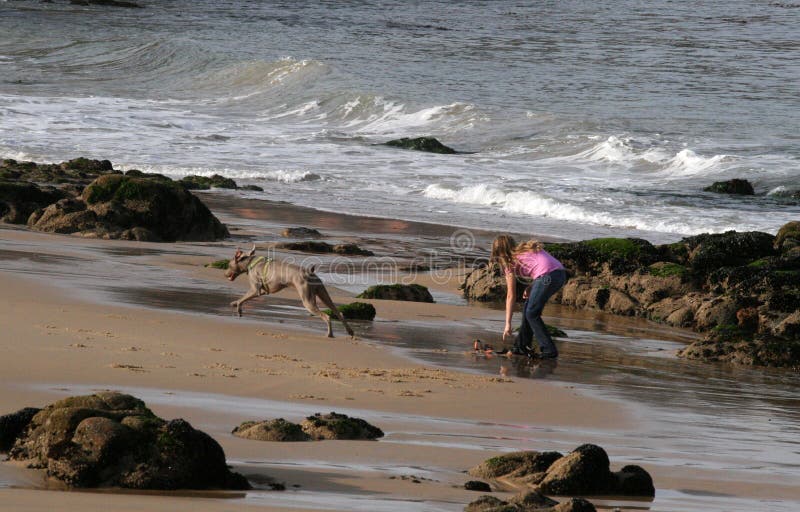 Girl and dog on the beach