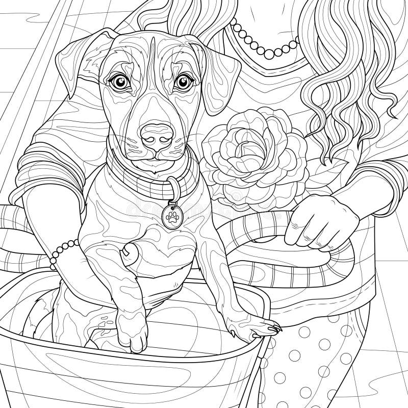 Girl with a dog in a bicycle basket.Jack Russell.Coloring book antistress for children and adults.