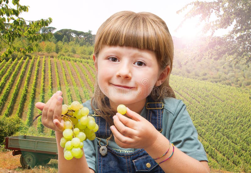 Girl Eating Grapes in the Vineyards Stock Image Image of green