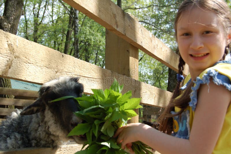 The girl on the farm