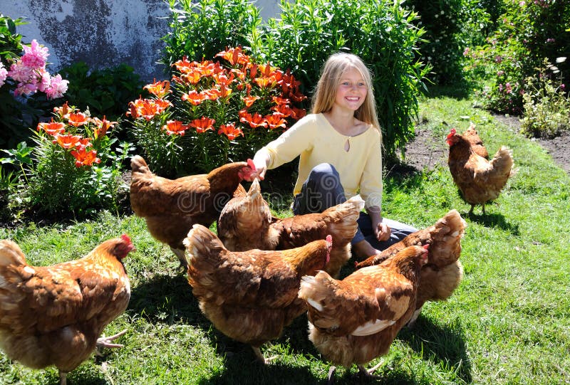 Girl feeding chickens