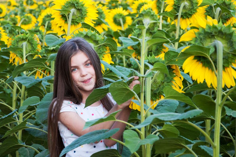 Girl on the field of sunflowers royalty free stock photo Girl on the field of sunflowers royalty free stock photo