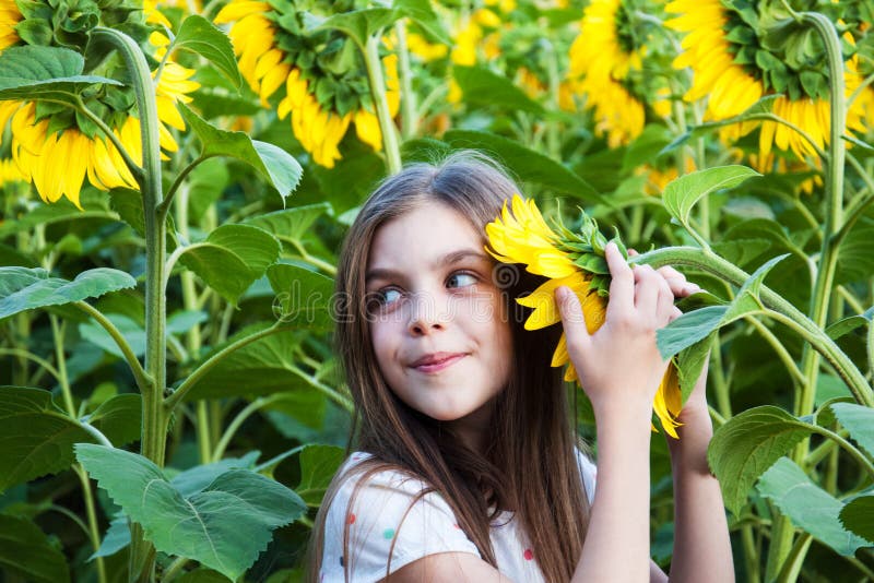 Girl on the field of sunflowers stock photography Girl on the field of sunflowers stock photography