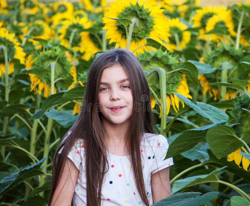 Girl on the field of sunflowers royalty free stock photos Girl on the field of sunflowers royalty free stock photos