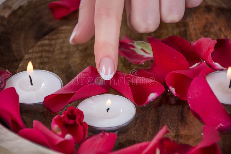 Girl finger with french nails polish style touch candle in bowl with water and red rose petals royalty free stock photography Girl finger with french nails polish style touch candle in bowl with water and red rose petals royalty free stock photography