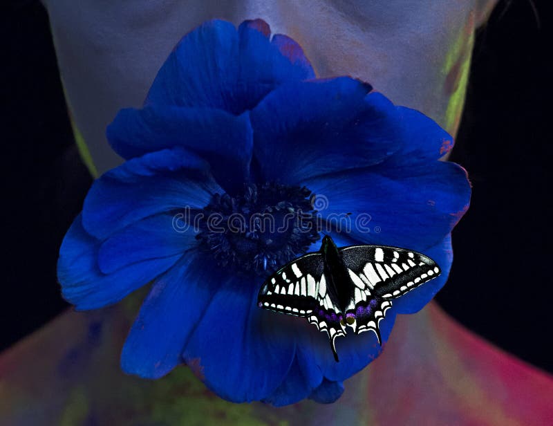 Girl with a Flower and a Butterfly in Ultraviolet Light Stock Image