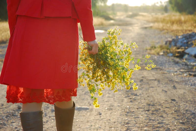 Girl and flowers royalty free stock image Girl and flowers royalty free stock image