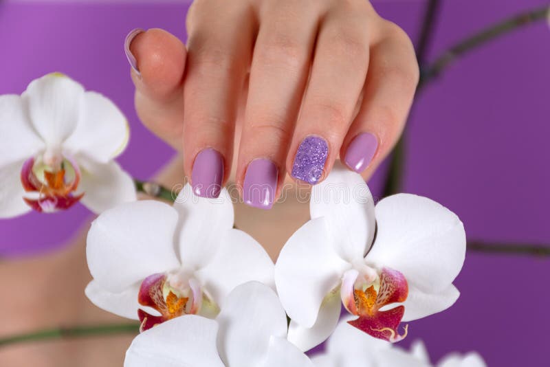 Girl hand with a lilac color nails polish gel and beautiful orchid flower decoration on purple background. Young beautiful female hand with a lilac color nails stock photo Girl hand with a lilac color nails polish gel and beautiful orchid flower decoration on purple background. Young beautiful female hand with a lilac color nails stock photo