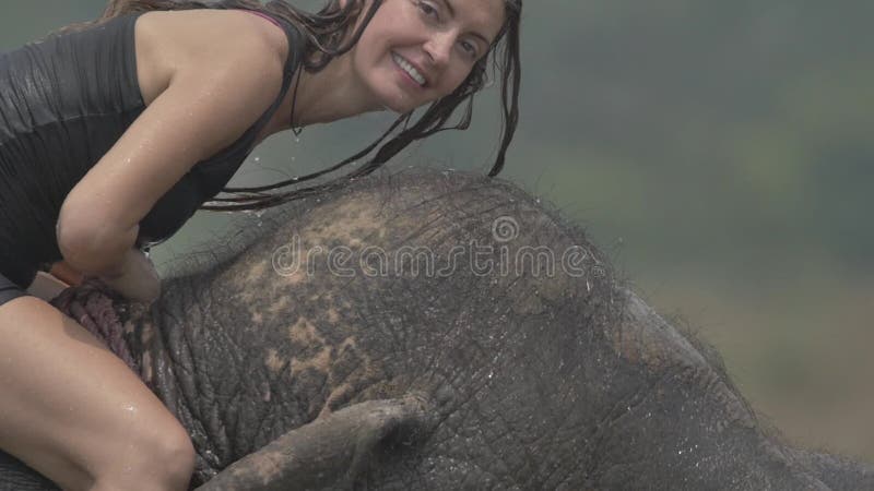 Girl have a shower on the elephant