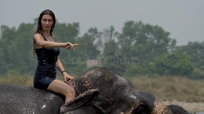 Girl have a shower on the elephant