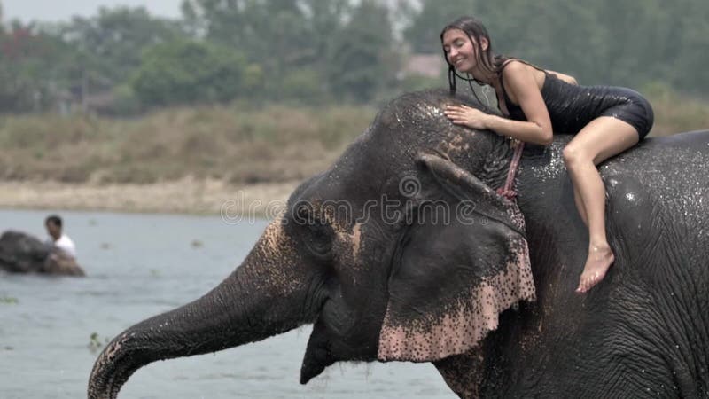 Girl have a shower on the elephant