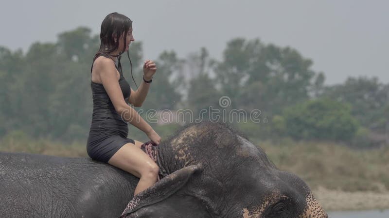 Girl have a shower on the elephant