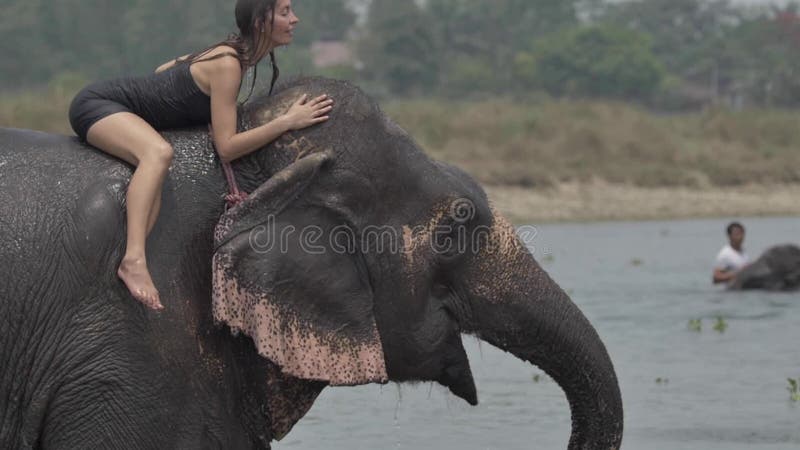 Girl have a shower on the elephant