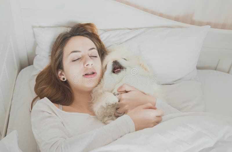 Girl and Her Dog in the Bed. Stock Image Image of pillow, canine