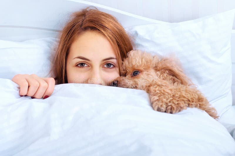 Girl and Her Dog in the Bed Stock Image Image of canine, rest 63363427