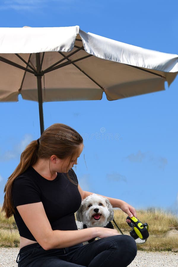 Havanese Umbrella 2 Havanese Umbrella 2