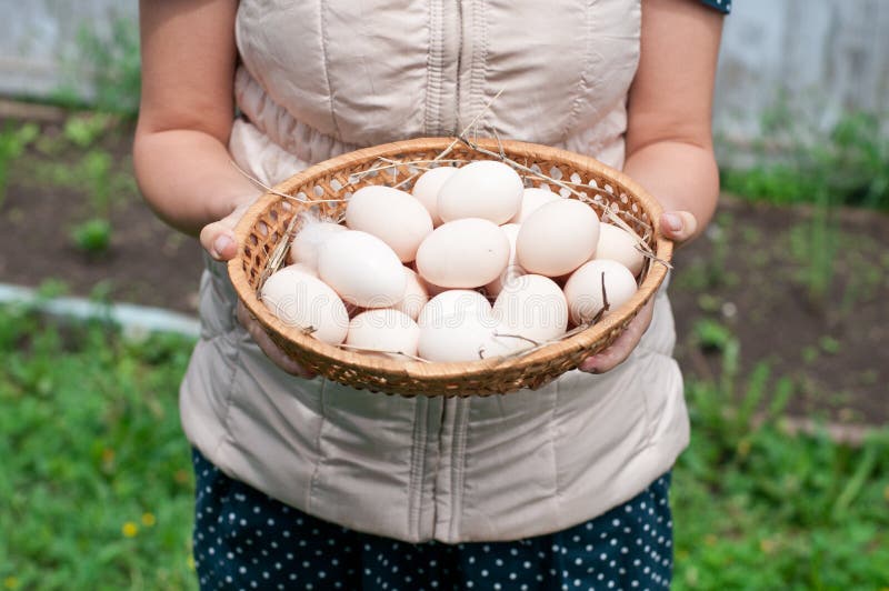 The girl is holding a basket with chicken eggs