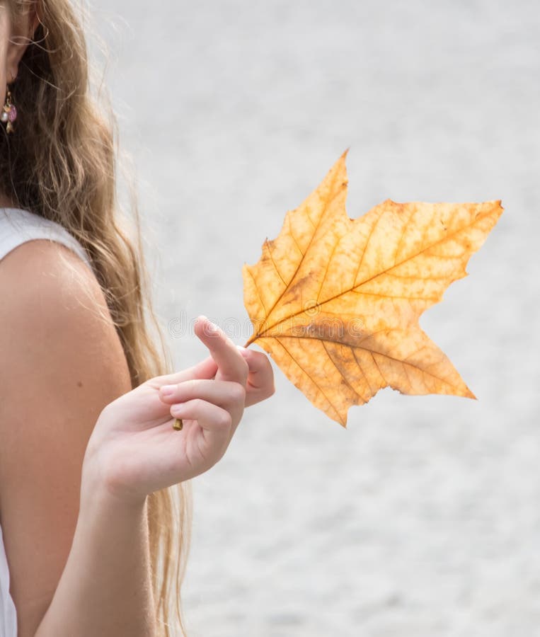 Girl Holding a Big Fall Leaf Stock Photo Image of leaves, october