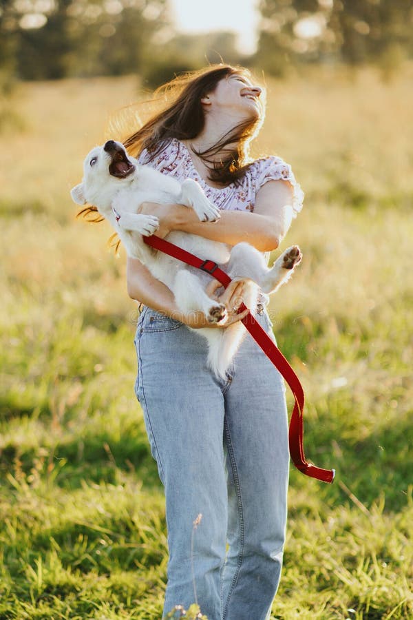Girl holding playful adorable fluffy puppy, hilarious moment. Playing with doggy. Happy young woman holding funny white puppy in. Warm sunset light in summer royalty free stock photos Girl holding playful adorable fluffy puppy, hilarious moment. Playing with doggy. Happy young woman holding funny white puppy in. Warm sunset light in summer royalty free stock photos