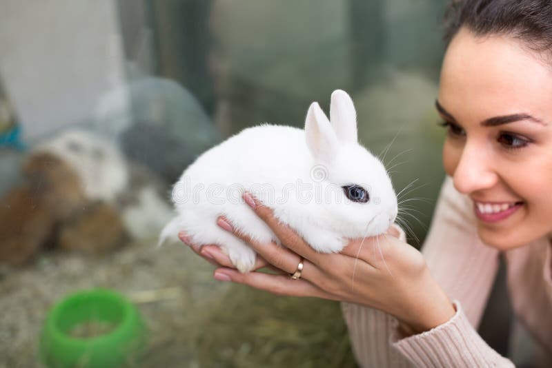 Excited young brunette holding cute decorative bunny in zoo store. Focus on pet. Excited young brunette holding cute decorative bunny in zoo store. Focus on pet