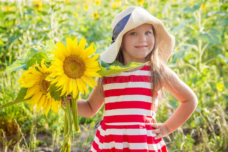 Girl Holding Sunflowers among Field Stock Photo Image of healthy