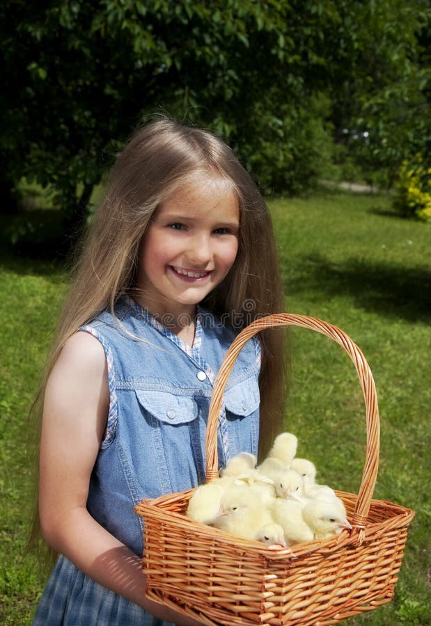 Easter Chicks stock photo. Image of chatting, chicken 12927826