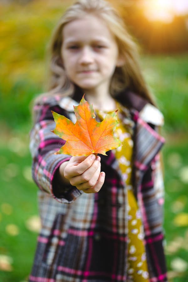 Girl holds a red leaf stock image. Image of colorful - 159937719