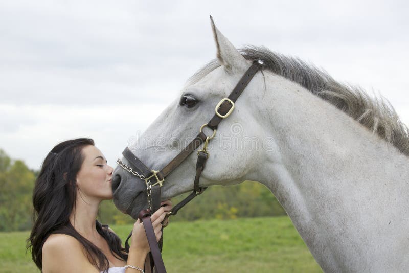 Woman with Horse Doing a Massage in Its Legs Stock Image Image of