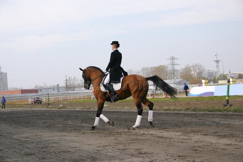 A girl on a horse