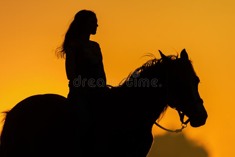 Girl and horse silhouette