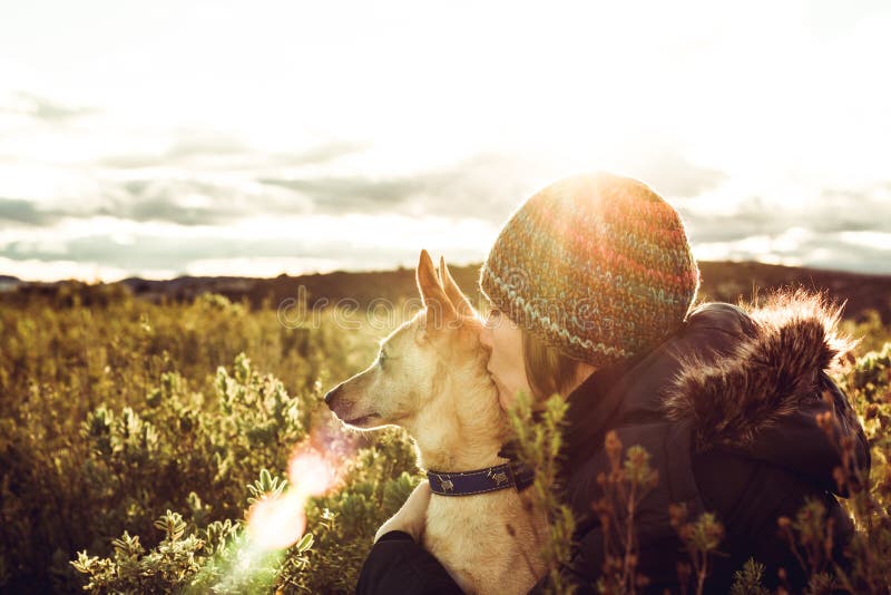 Girl hugging her dog in the field with a sunset royalty free stock image Girl hugging her dog in the field with a sunset royalty free stock image