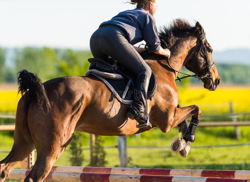 Full Length Shot Young Female Rider Jumping Hurdle Her Horse fotos, imagens  de © PeopleImages.com #585006420