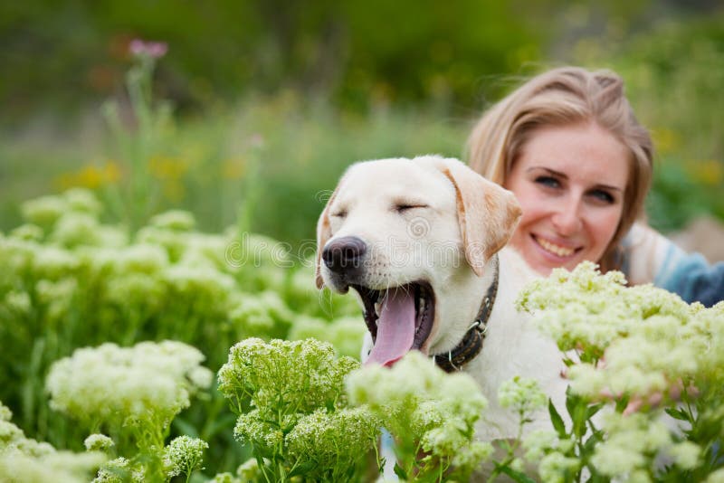 Download Girl with labrador stock photo. Image of handsome, female - 10026604