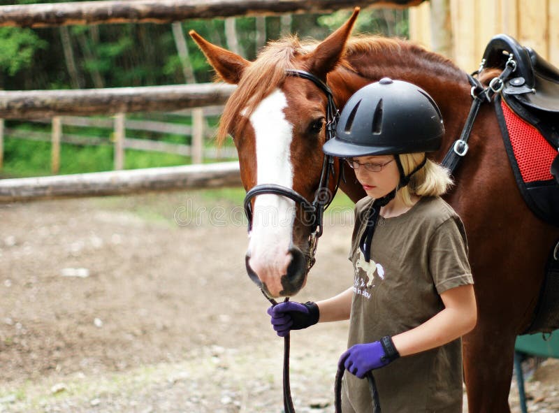 Girl Leading Horse stock photo. Image of exercise, training 10595292