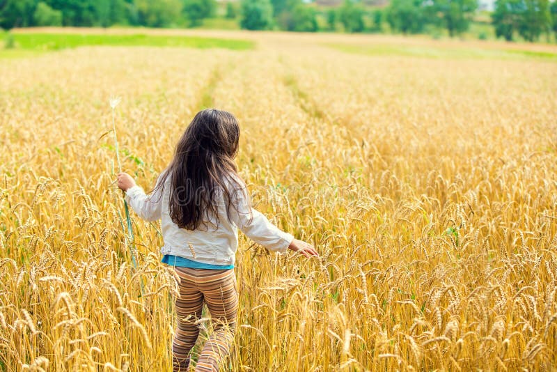 Girl with long hair on the wheat field