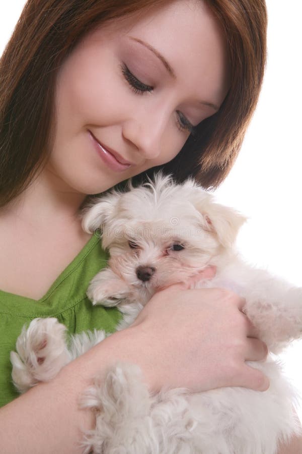 Girl with Maltese Dog stock photo. Image of tender, small 4262490