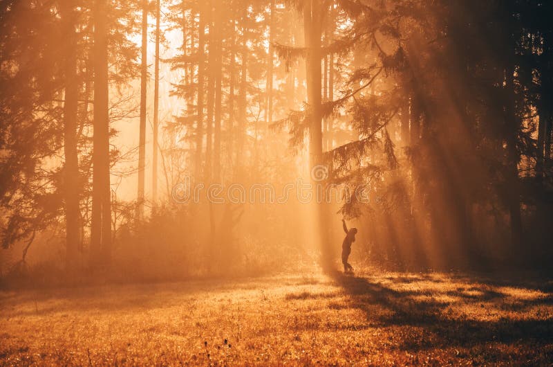 Girl in morning rays during calm autumn morning between forest and meadow stock photo Girl in morning rays during calm autumn morning between forest and meadow stock photo