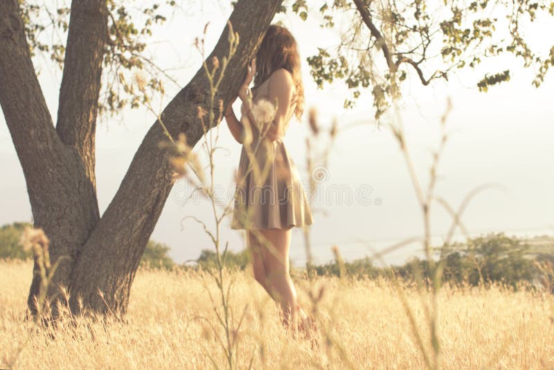 Girl On Nature Young Woman Walking In Summer Field At Sunset Hiding Behind A Tree Stock Image 