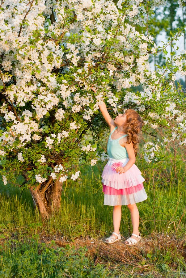 A girl near a flowering tree stock image