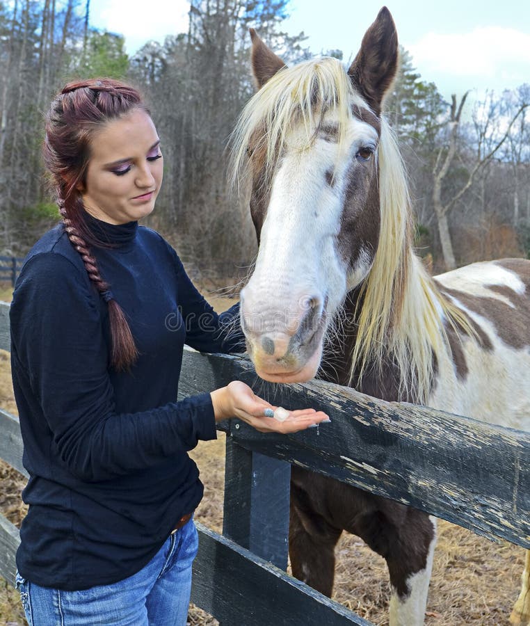 Girl Offering Horse a Treat